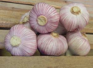 15110918_834614136641395_3706520932401240442_o