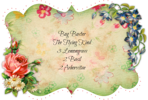 bugbusterflyingkind